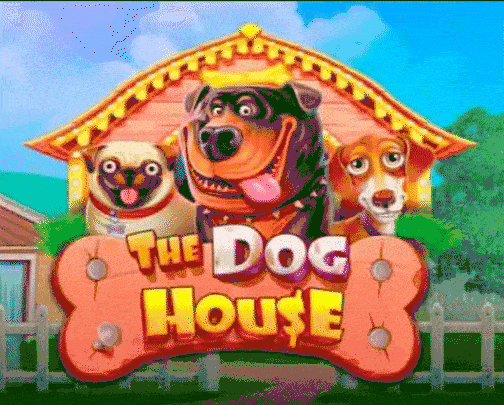 play The Dog House in spindragon casino